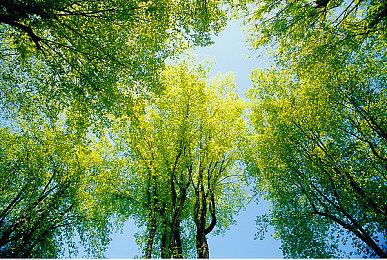 恐怖游戏新作《恶梦妖怪村》登陆Switch 正式预告公开